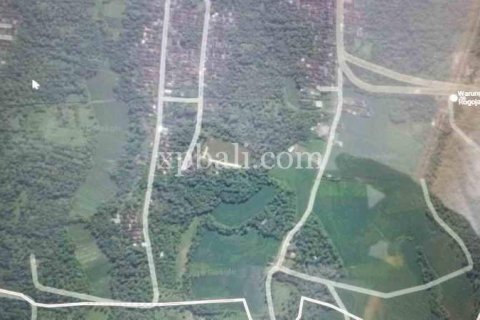 2690m2 Land in Tabanan, Indonesia No. 443 4