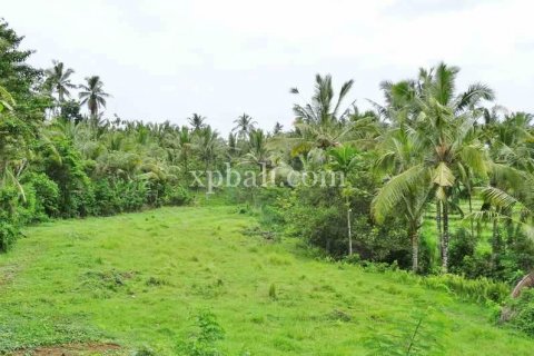 2690m2 Land in Tabanan, Indonesia No. 443 3