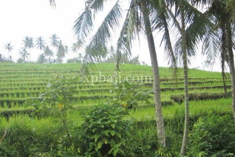 2690m2 Land in Tabanan, Indonesia No. 443