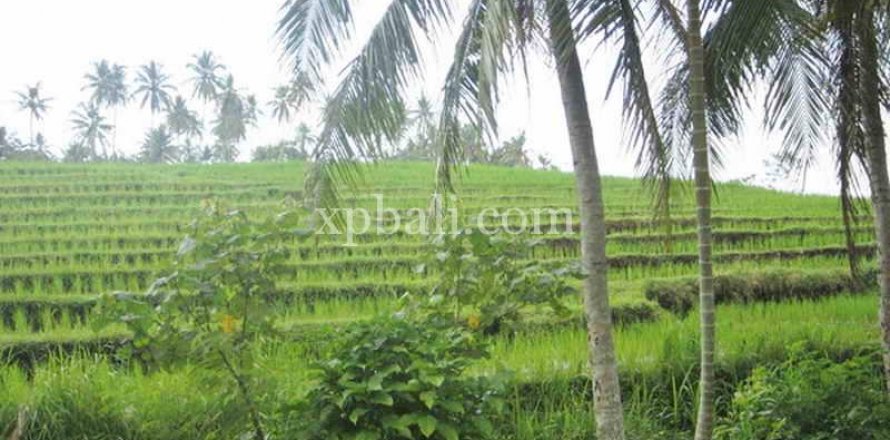 2690m2 Land in Tabanan, Indonesia No. 443