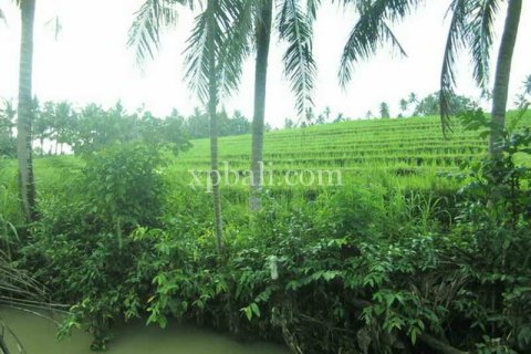 2690m2 Land in Tabanan, Indonesia No. 443 7