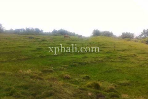 3780m2 Land in Tabanan, Indonesia No. 441 5