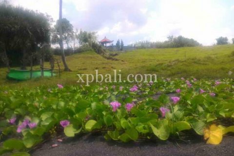 3780m2 Land in Tabanan, Indonesia No. 441 4