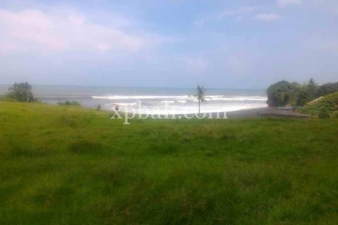 3780m2 Land in Tabanan, Indonesia No. 441