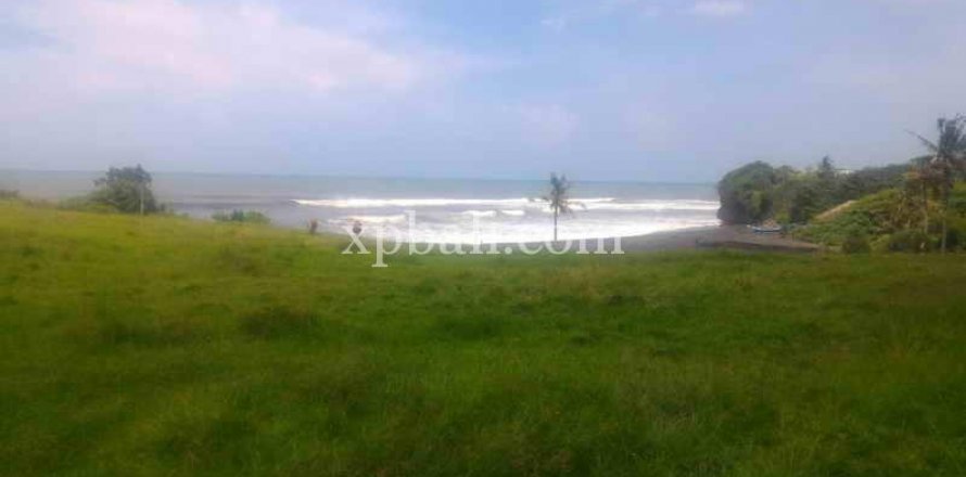 3780m2 Land in Tabanan, Indonesia No. 441