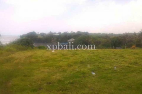3780m2 Land in Tabanan, Indonesia No. 441 2