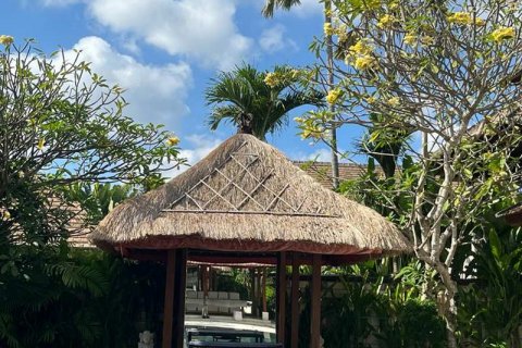 3 bedrooms Villa in Seminyak, Badung, Indonesia No. 196 3