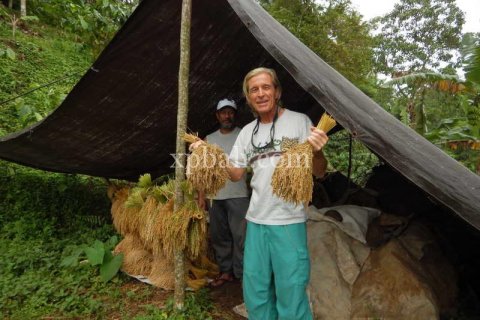 Земельный участок 19200м2 в Tabanan, Табанан, Индонезия № 440 5