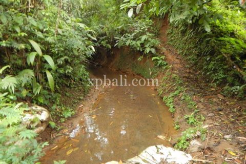 19200m2 Land in Tabanan, Indonesia No. 440