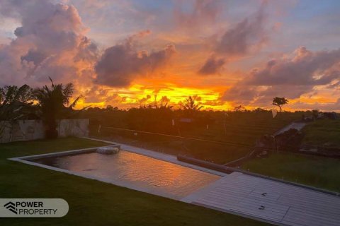 4 bedrooms Villa in Canggu, Badung, Indonesia No. 7615 6