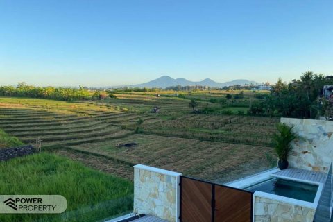 4 bedrooms Villa in Canggu, Badung, Indonesia No. 7615 3