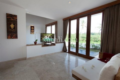 8 bedrooms Villa in Canggu, Badung, Indonesia No. 7970 20