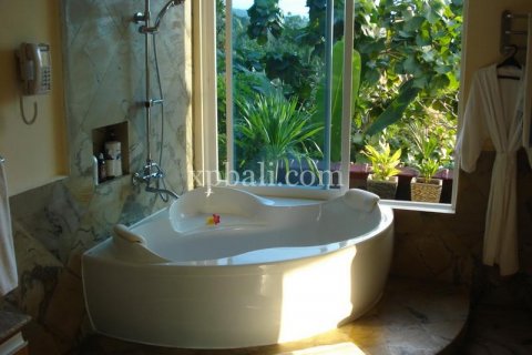 4 bedrooms Villa in Lovina, Anturan, Buleleng, Indonesia No. 7976 2