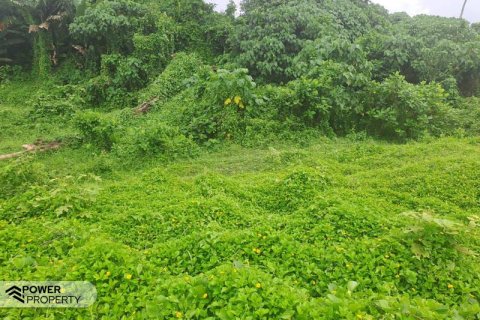 313m2 Land in Tabanan, Indonesia No. 9059 13