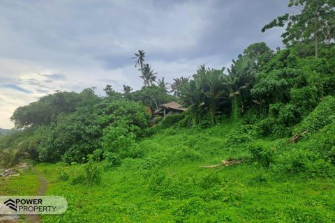 313m2 Land in Tabanan, Indonesia No. 9059 18