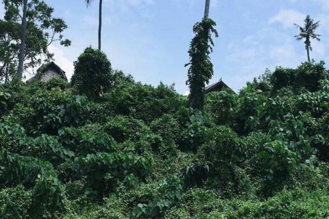 313m2 Land in Tabanan, Indonesia No. 9059 3