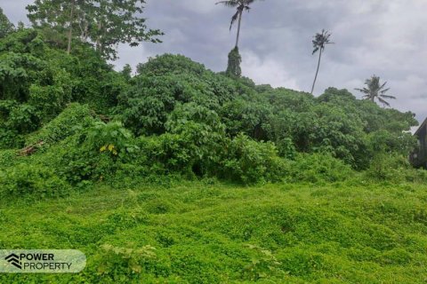 313m2 Land in Tabanan, Indonesia No. 9059 19