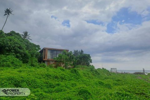 313m2 Land in Tabanan, Indonesia No. 9059 11