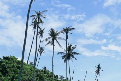 313m2 Land in Tabanan, Indonesia No. 9059 6
