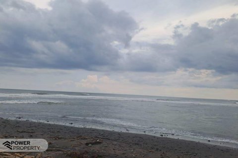 313m2 Land in Tabanan, Indonesia No. 9059 14