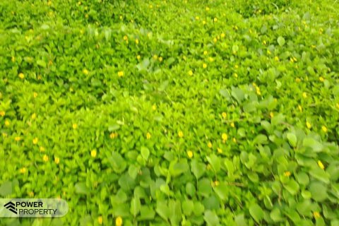 313m2 Land in Tabanan, Indonesia No. 9059 12