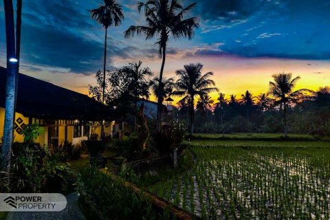 19 bedrooms Hotel in Ubud, Gianyar, Indonesia No. 9057
