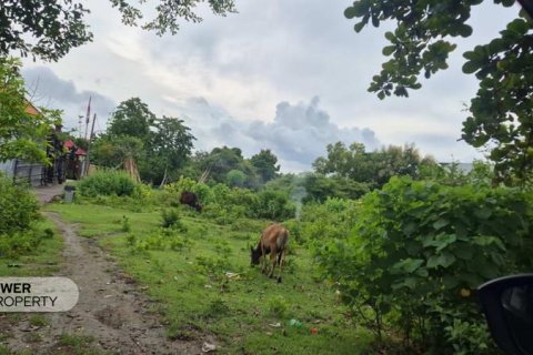 10000m2 Land in South Kuta, Badung, Indonesia No. 9542