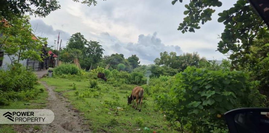 10000m2 Land in South Kuta, Badung, Indonesia No. 9542