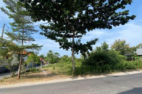 10000m2 Land in South Kuta, Badung, Indonesia No. 9542 3