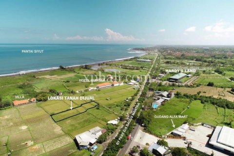 1875m2 Land in Gianyar, Indonesia No. 467 5