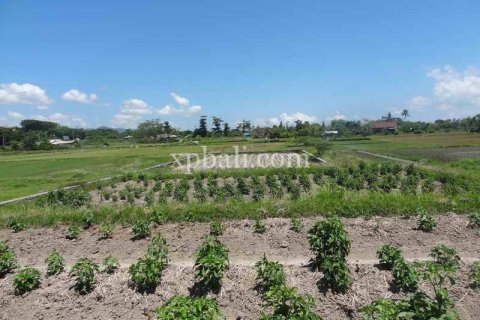 1875m2 Land in Gianyar, Indonesia No. 467 9