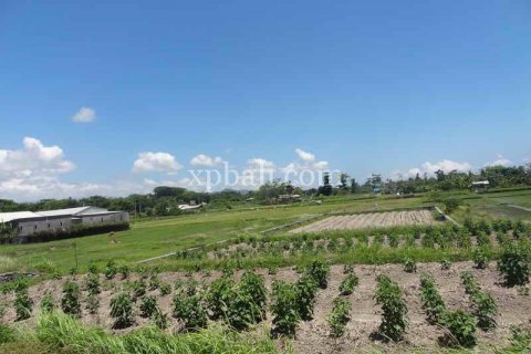 1875m2 Land in Gianyar, Indonesia No. 467 10
