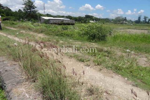 1875m2 Land in Gianyar, Indonesia No. 467 7