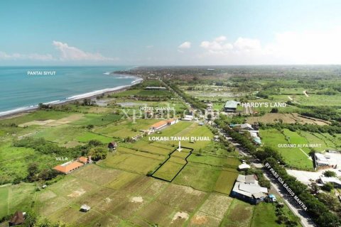 1875m2 Land in Gianyar, Indonesia No. 467