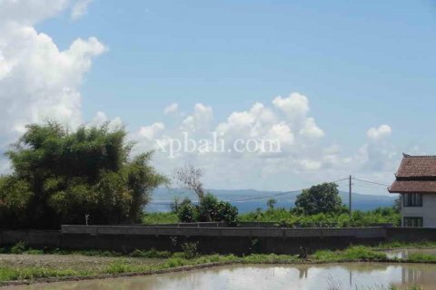 1875m2 Land in Gianyar, Indonesia No. 467 6