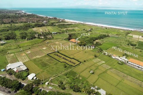 1875m2 Land in Gianyar, Indonesia No. 467 2