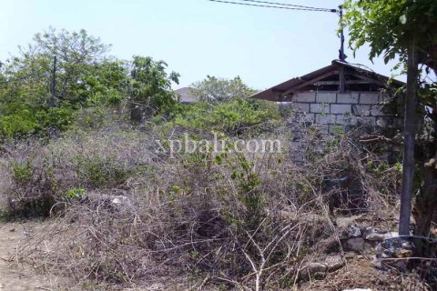 2078m2 Land in Nusa Dua, Badung, Indonesia No. 466 5