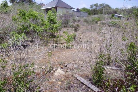 2078m2 Land in Nusa Dua, Badung, Indonesia No. 466 12
