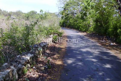 2078m2 Land in Nusa Dua, Badung, Indonesia No. 466 2