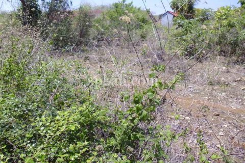 2078m2 Land in Nusa Dua, Badung, Indonesia No. 466 13