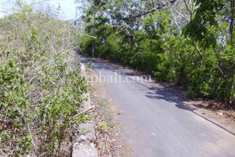 2078m2 Land in Nusa Dua, Badung, Indonesia No. 466 11