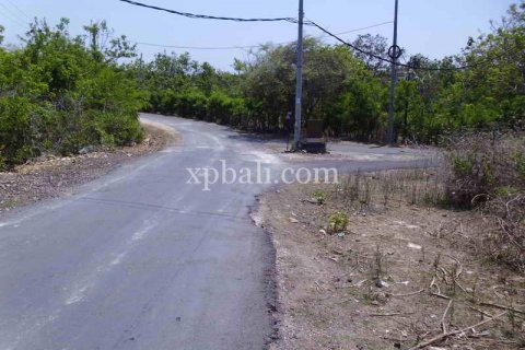 2078m2 Land in Nusa Dua, Badung, Indonesia No. 466 6