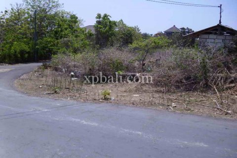 2078m2 Land in Nusa Dua, Badung, Indonesia No. 466 4