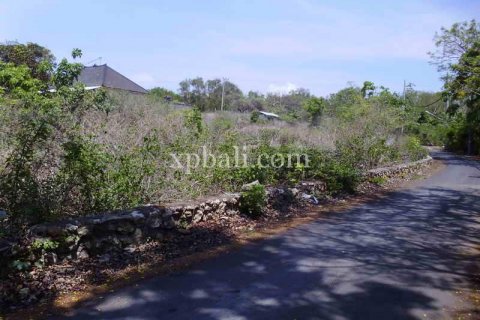 2078m2 Land in Nusa Dua, Badung, Indonesia No. 466