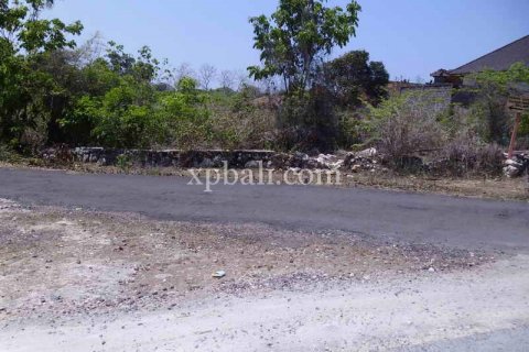 2078m2 Land in Nusa Dua, Badung, Indonesia No. 466 3
