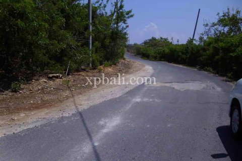 2078m2 Land in Nusa Dua, Badung, Indonesia No. 466 7