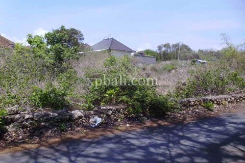 2078m2 Land in Nusa Dua, Badung, Indonesia No. 466 14
