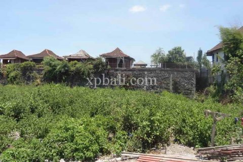 1160m2 Land in Canggu, Badung, Indonesia No. 470 7
