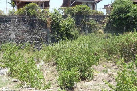 1160m2 Land in Canggu, Badung, Indonesia No. 470 4