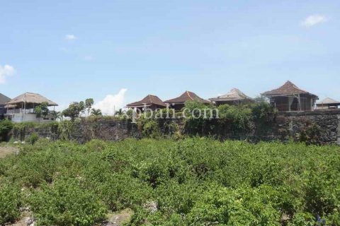 1160m2 Land in Canggu, Badung, Indonesia No. 470 1